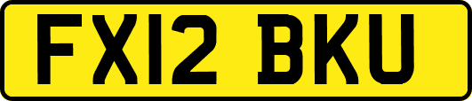 FX12BKU