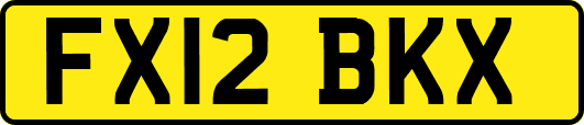 FX12BKX