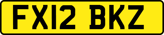 FX12BKZ