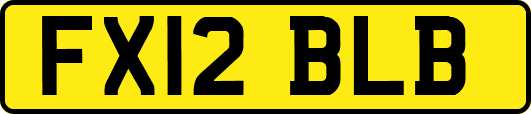 FX12BLB