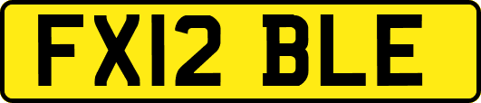 FX12BLE