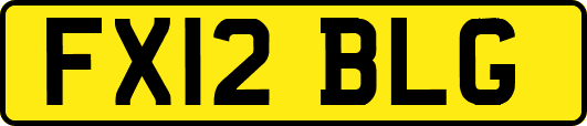 FX12BLG