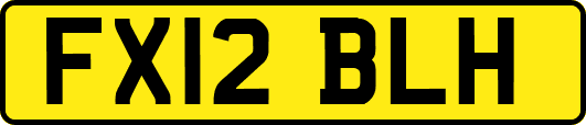 FX12BLH