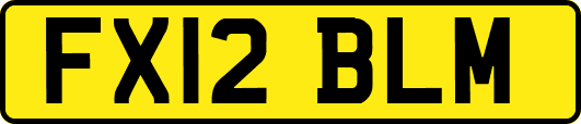 FX12BLM