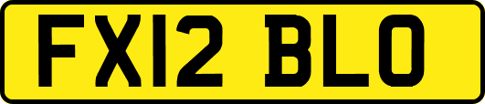 FX12BLO