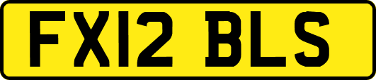 FX12BLS