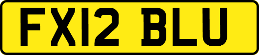 FX12BLU