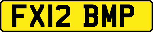 FX12BMP