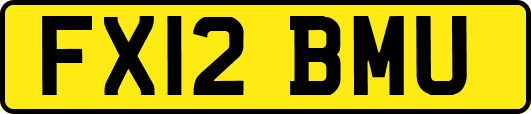 FX12BMU