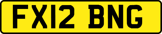 FX12BNG