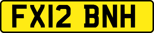 FX12BNH
