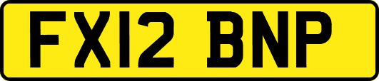 FX12BNP