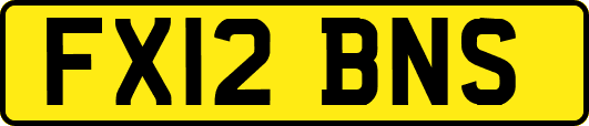 FX12BNS