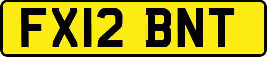 FX12BNT