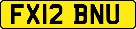 FX12BNU