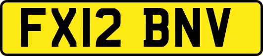 FX12BNV