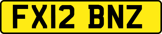 FX12BNZ