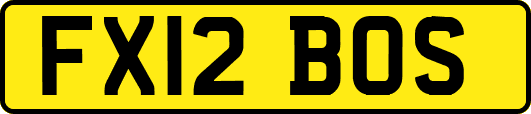FX12BOS