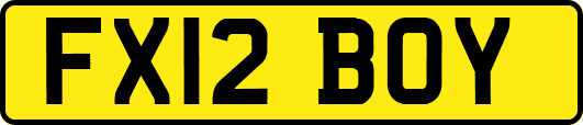 FX12BOY