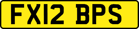 FX12BPS
