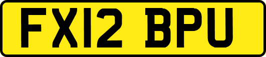 FX12BPU
