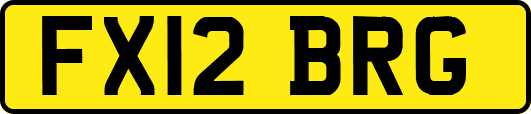FX12BRG