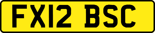 FX12BSC