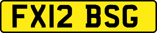FX12BSG
