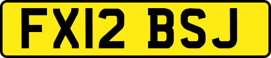 FX12BSJ