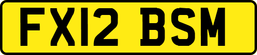 FX12BSM