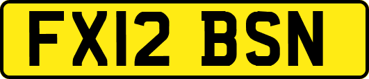FX12BSN