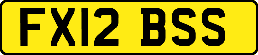 FX12BSS