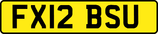 FX12BSU