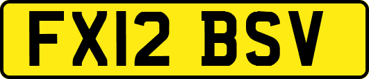 FX12BSV