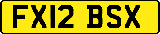 FX12BSX