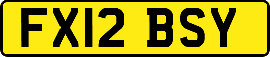 FX12BSY