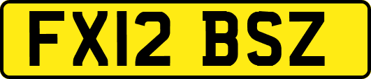 FX12BSZ