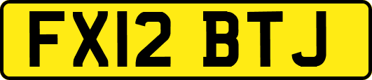 FX12BTJ