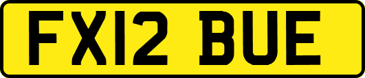 FX12BUE
