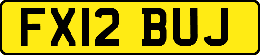 FX12BUJ