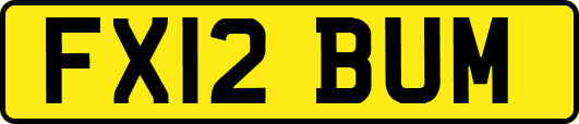 FX12BUM