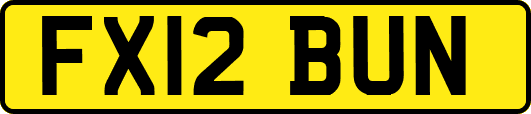 FX12BUN