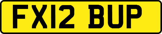 FX12BUP