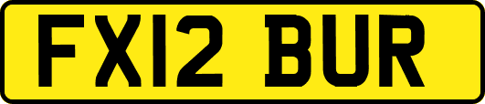 FX12BUR