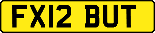 FX12BUT