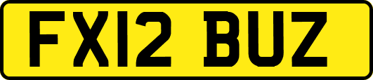 FX12BUZ