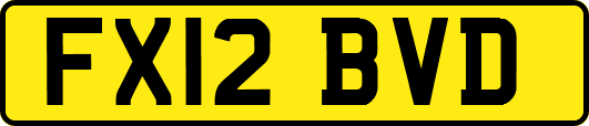 FX12BVD