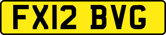 FX12BVG