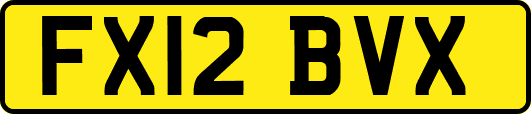 FX12BVX