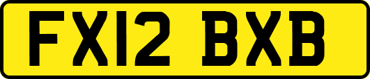 FX12BXB